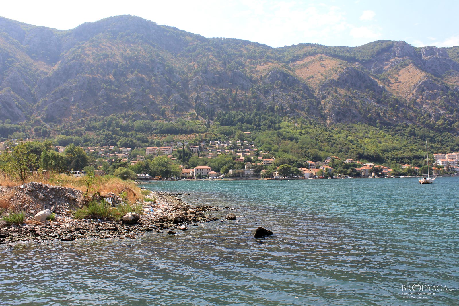 Kotor